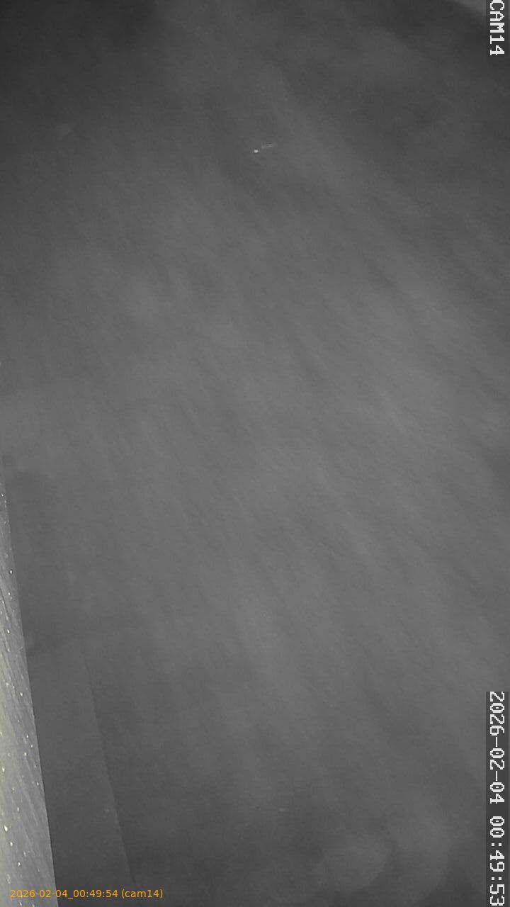 thumbnail_20260204004954