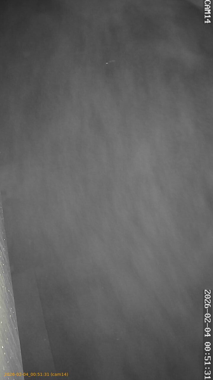 thumbnail_20260204005131