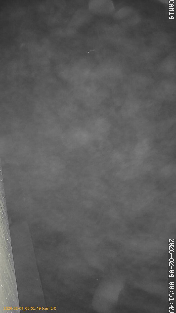 thumbnail_20260204005149