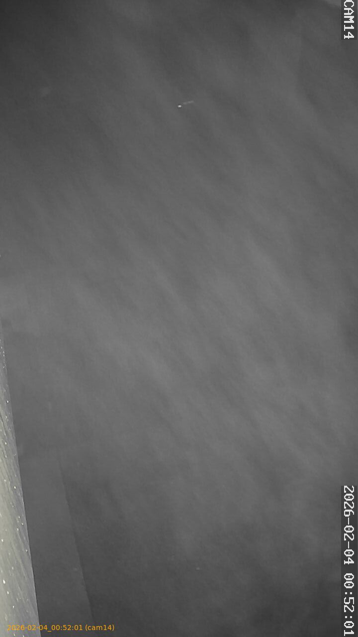 thumbnail_20260204005201