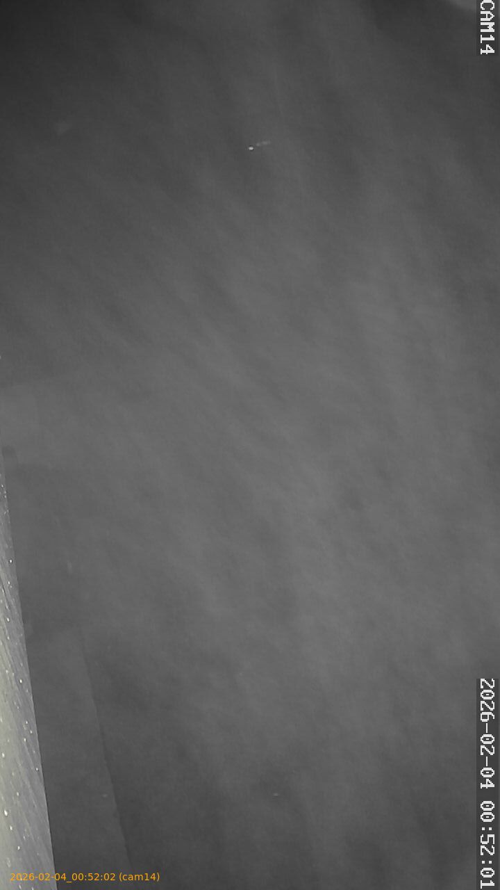 thumbnail_20260204005202