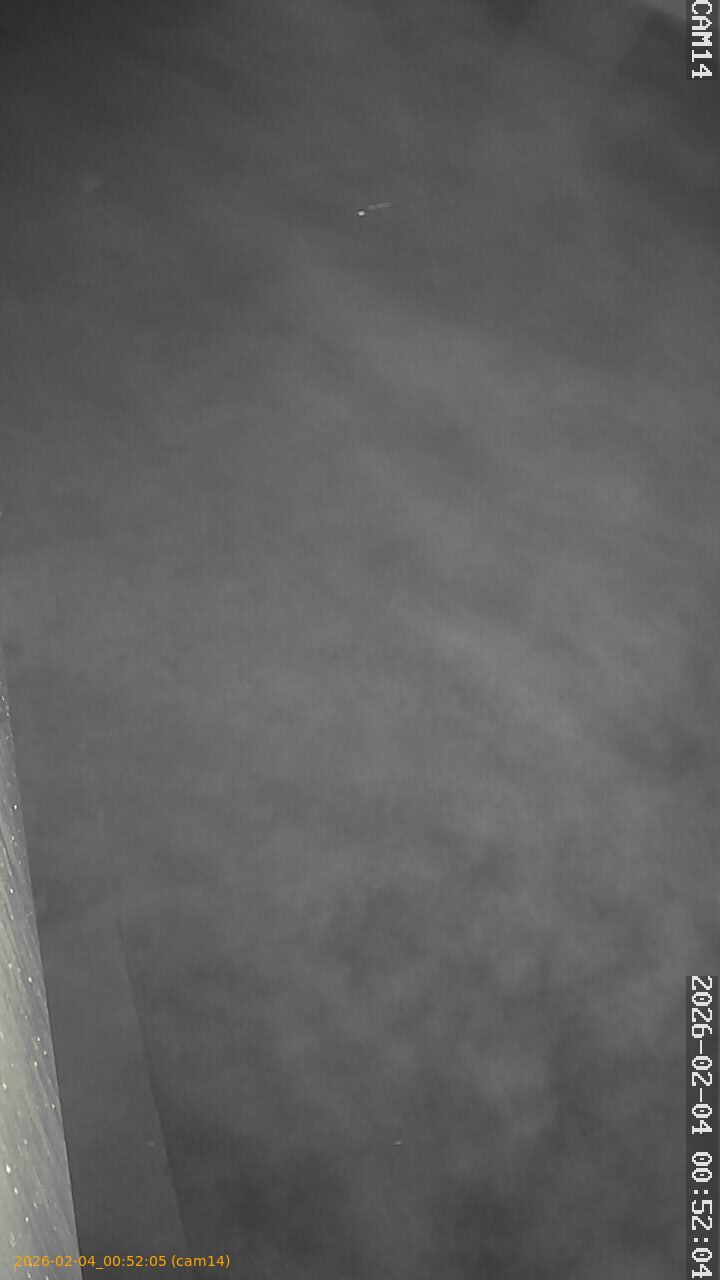 thumbnail_20260204005205