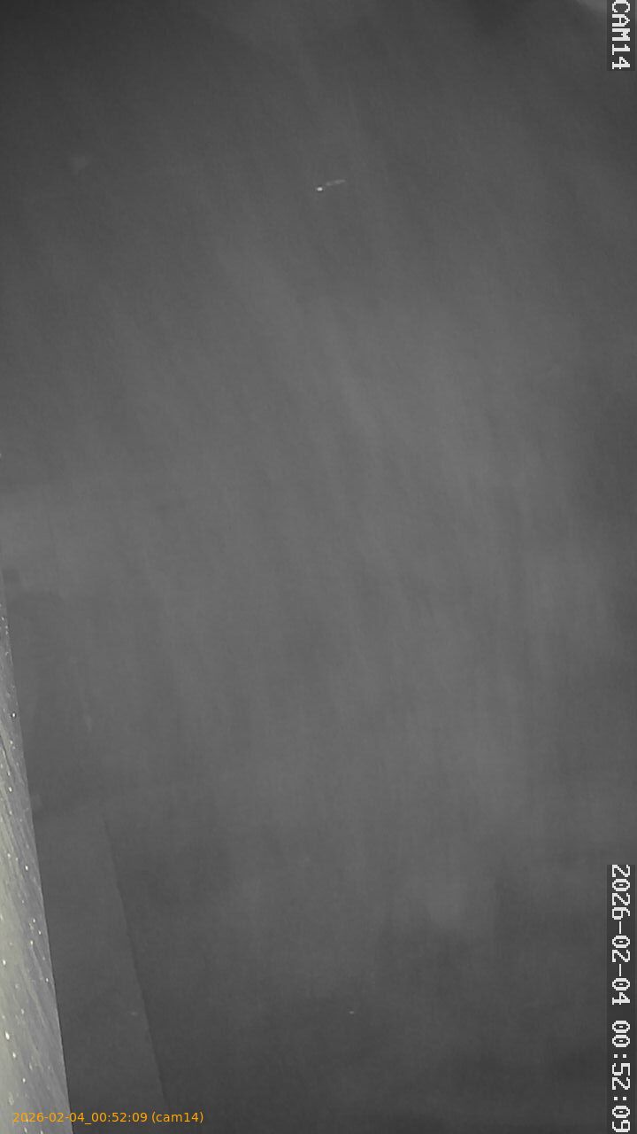 thumbnail_20260204005209