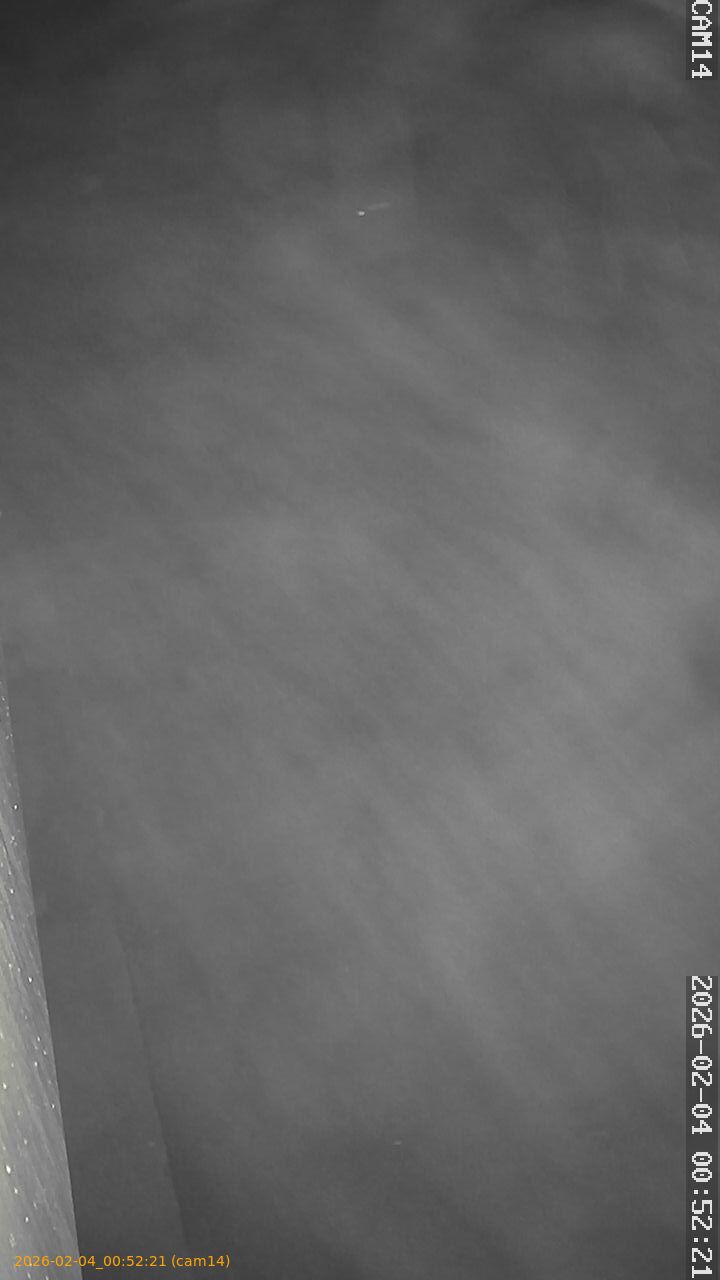 thumbnail_20260204005221