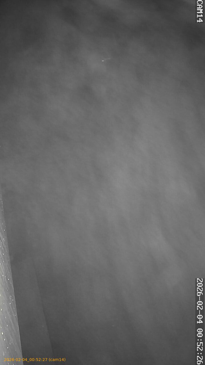 thumbnail_20260204005227