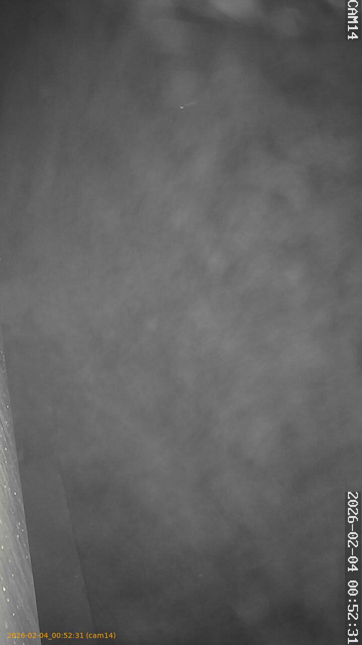 thumbnail_20260204005231