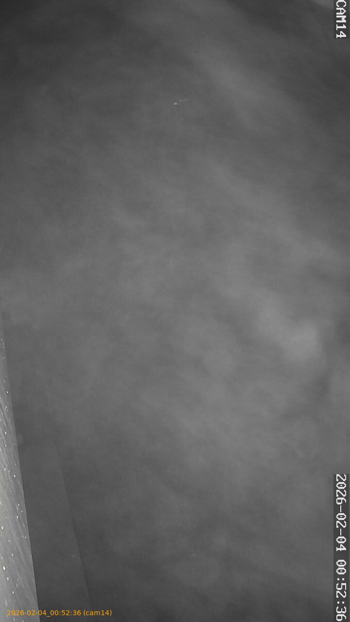 thumbnail_20260204005236