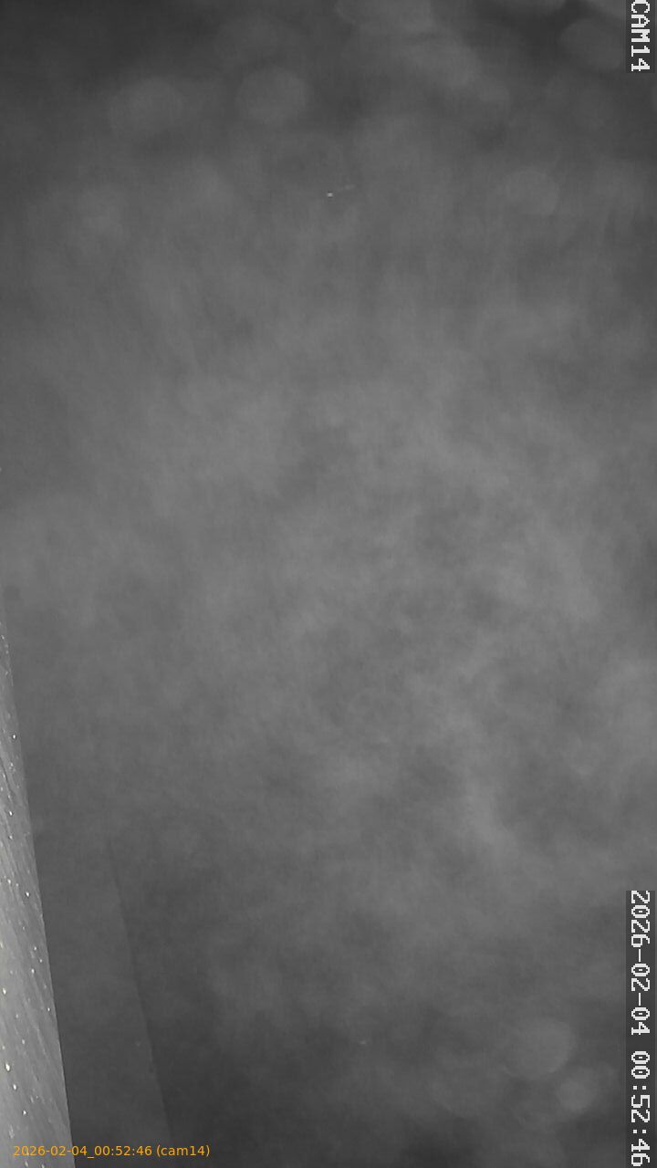 thumbnail_20260204005246