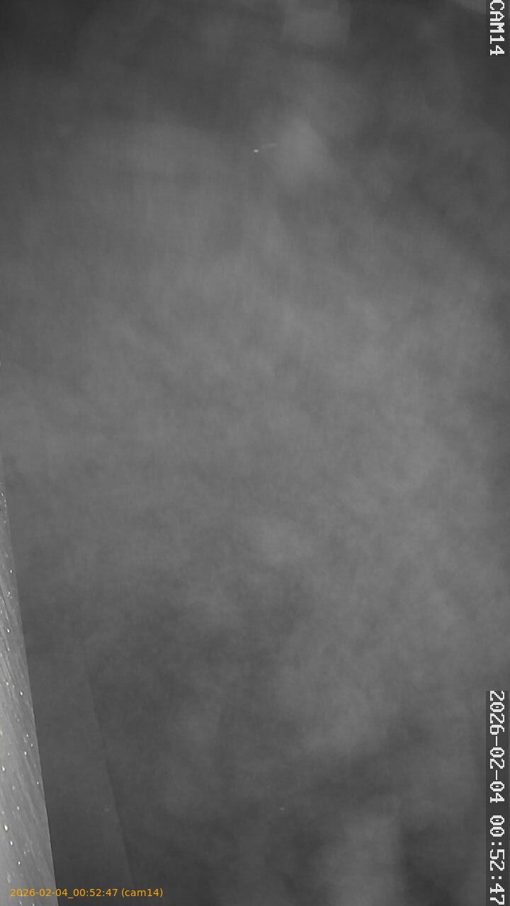 thumbnail_20260204005247