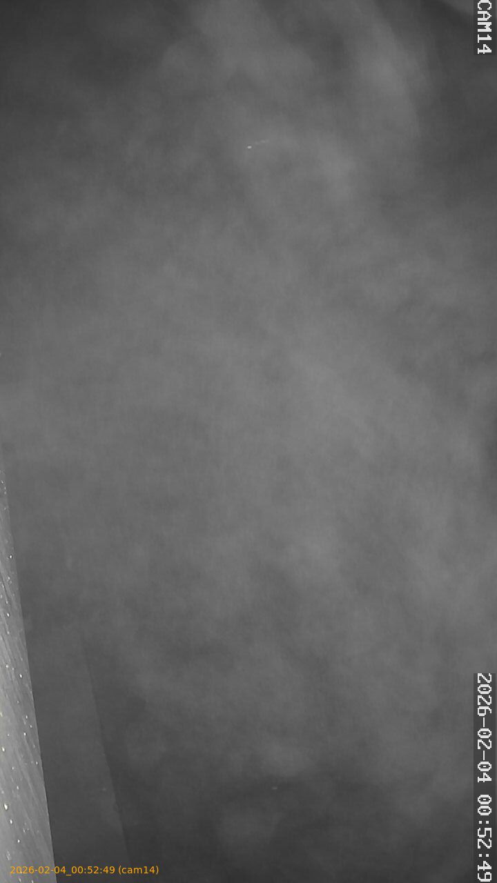 thumbnail_20260204005249