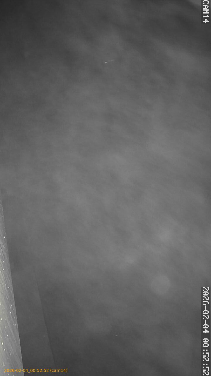 thumbnail_20260204005252