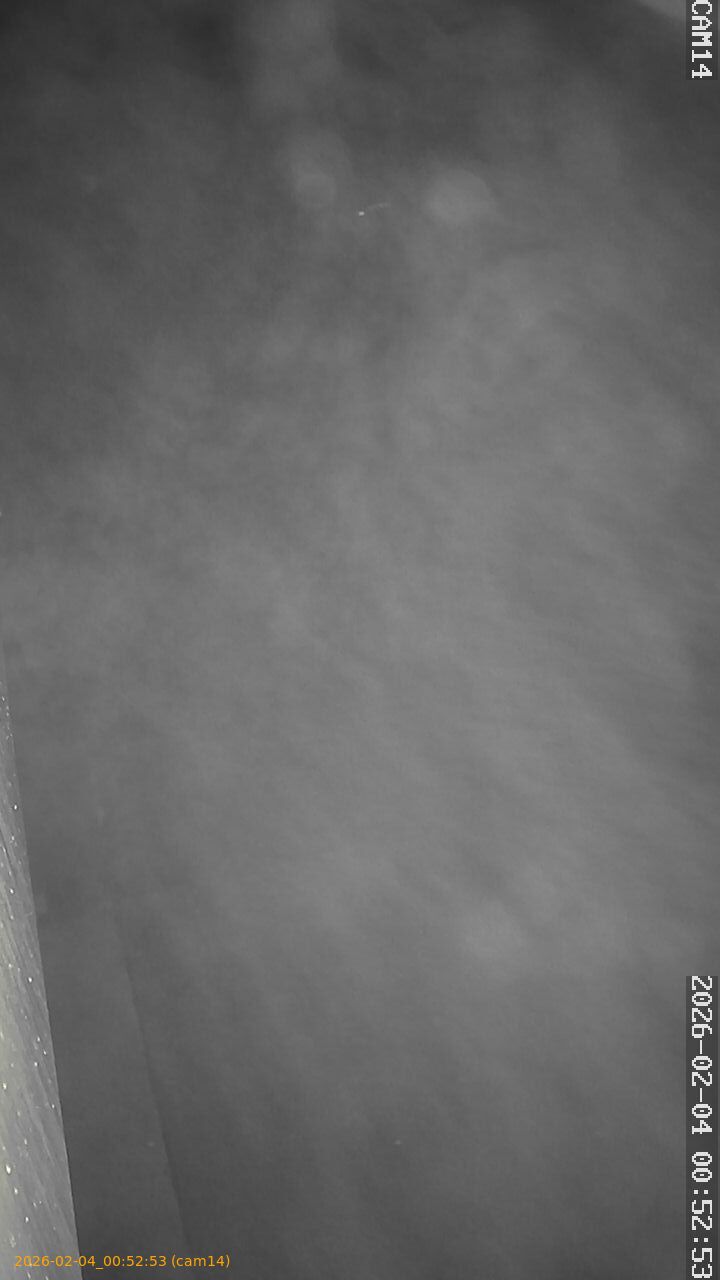 thumbnail_20260204005253