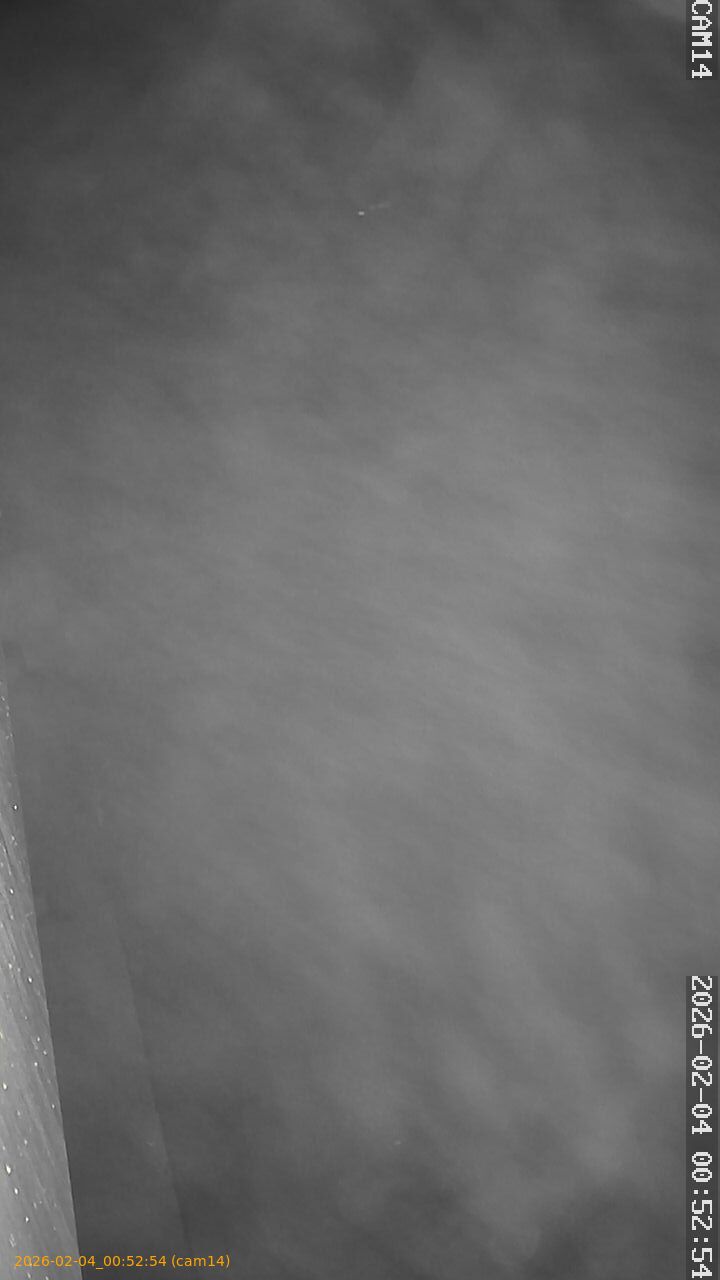 thumbnail_20260204005254