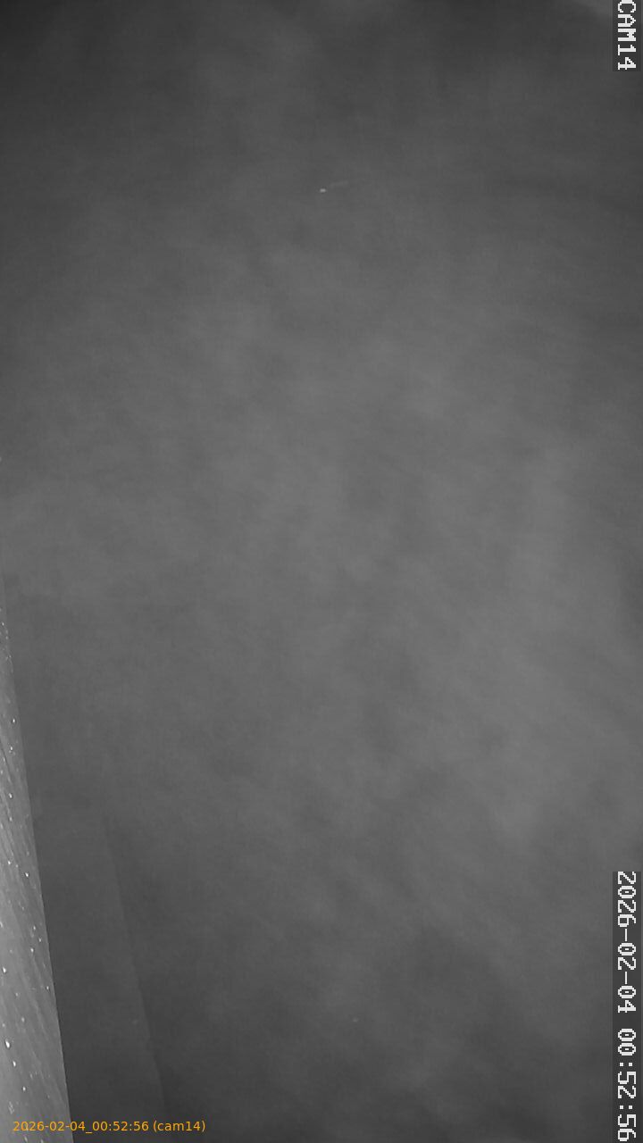 thumbnail_20260204005256