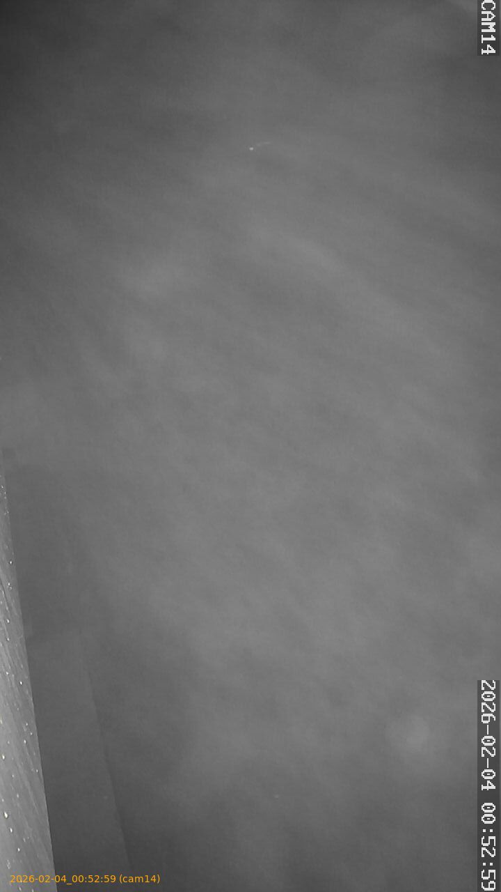 thumbnail_20260204005259