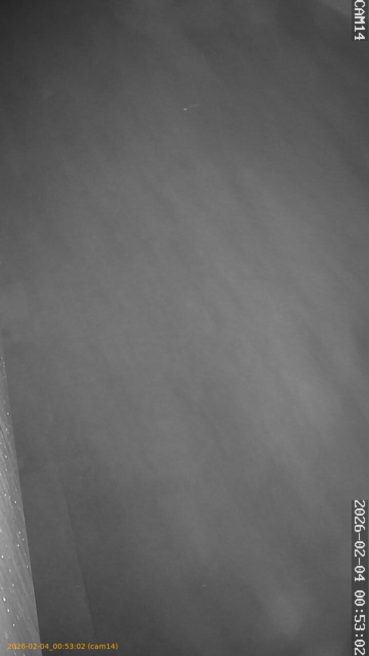 thumbnail_20260204005302