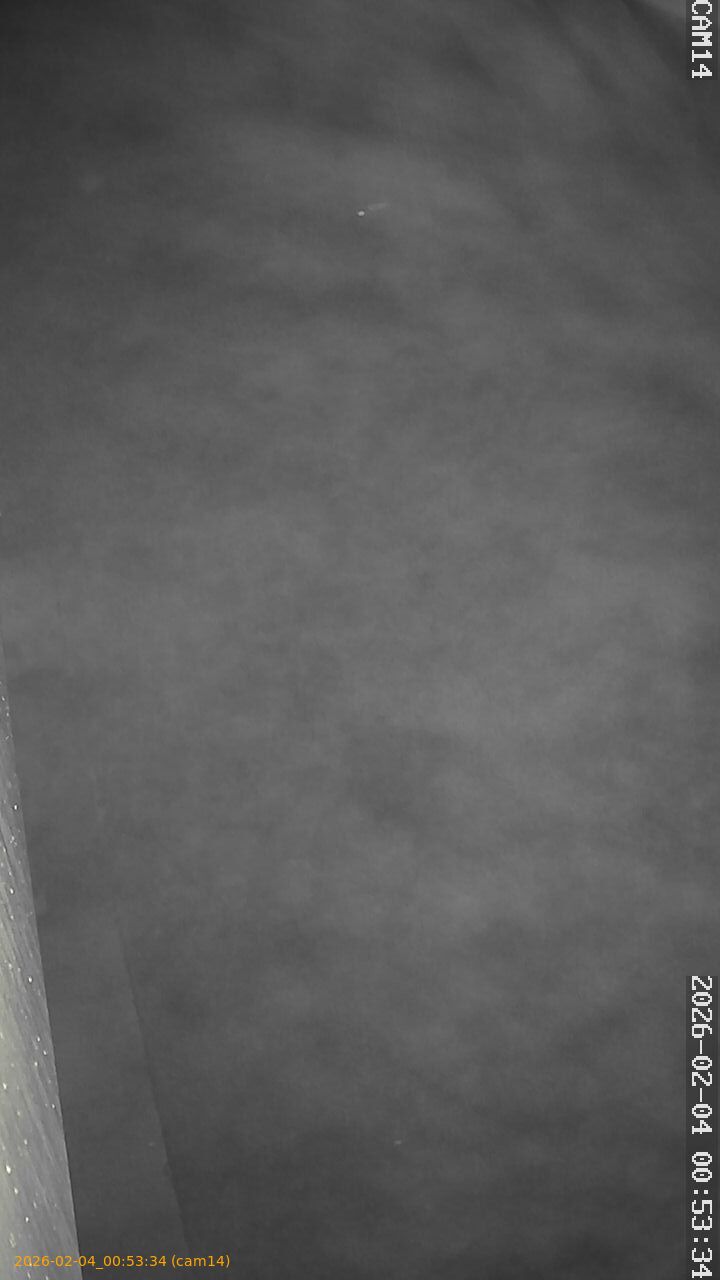 thumbnail_20260204005334