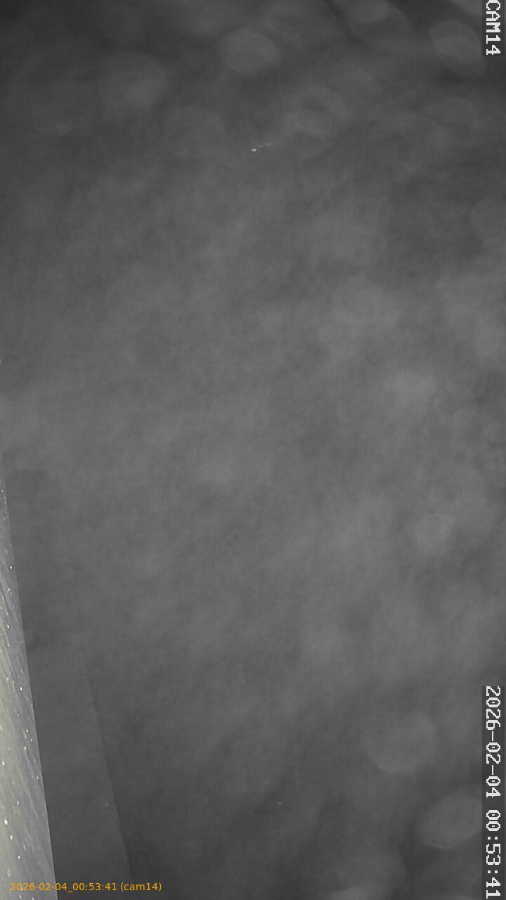 thumbnail_20260204005341