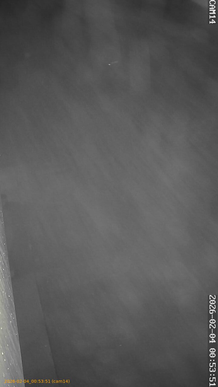 thumbnail_20260204005351