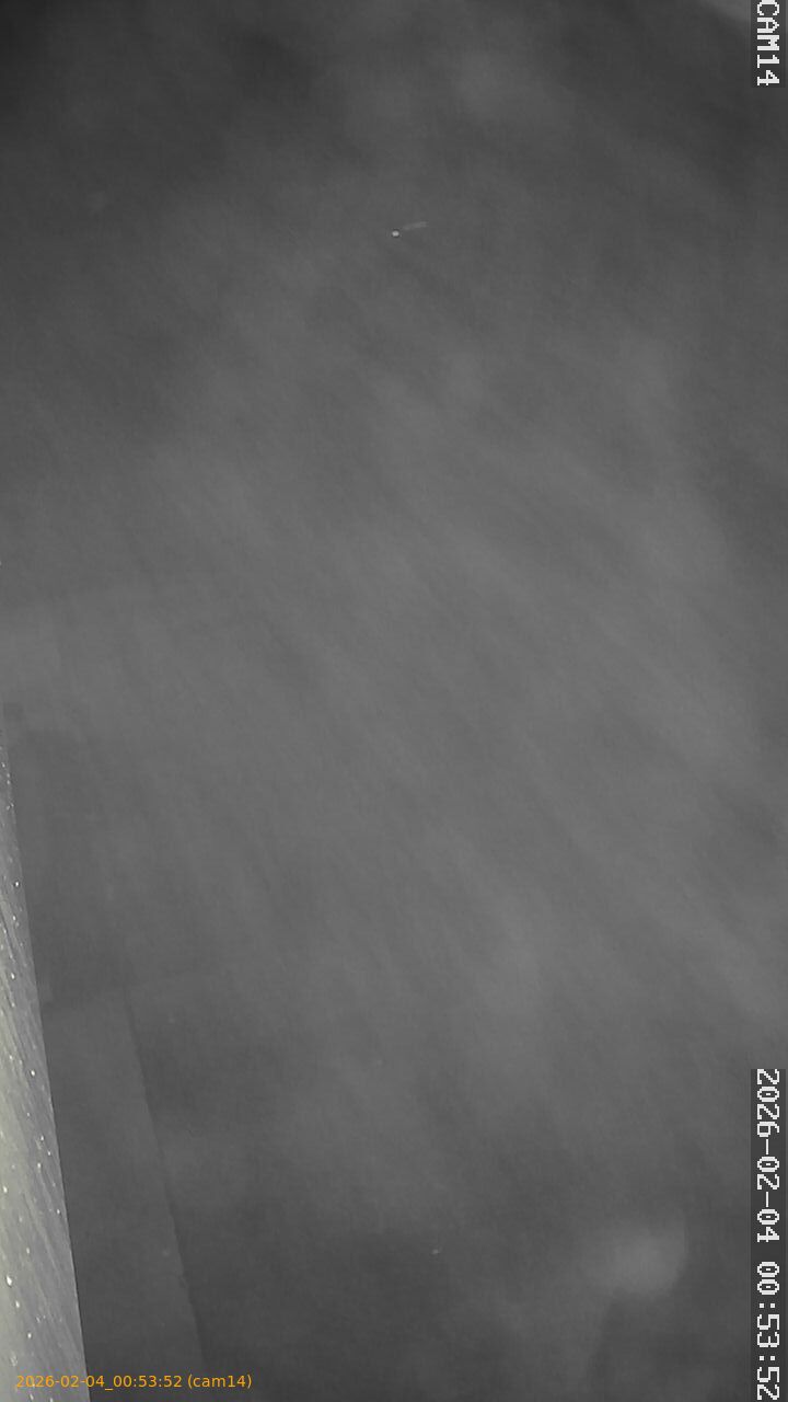 thumbnail_20260204005352