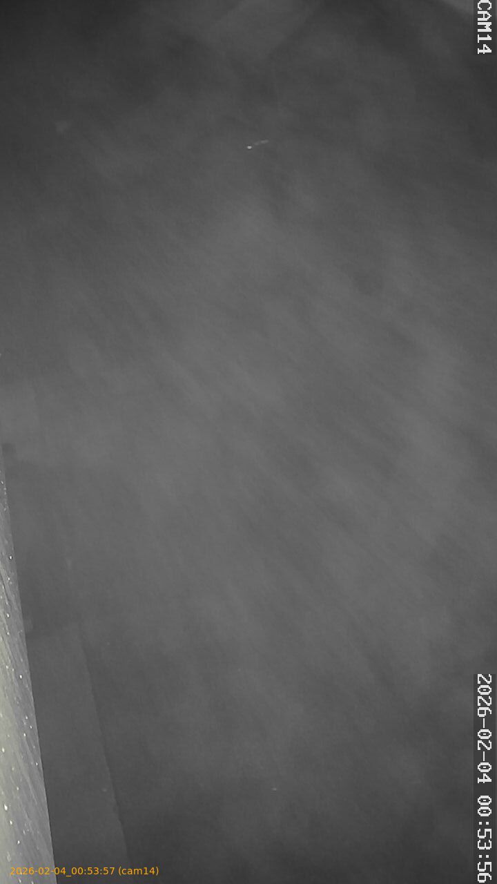 thumbnail_20260204005357