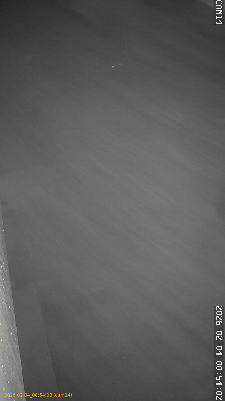 thumbnail_20260204005403