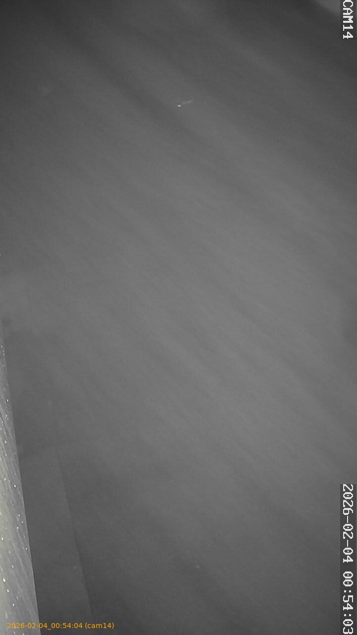 thumbnail_20260204005404