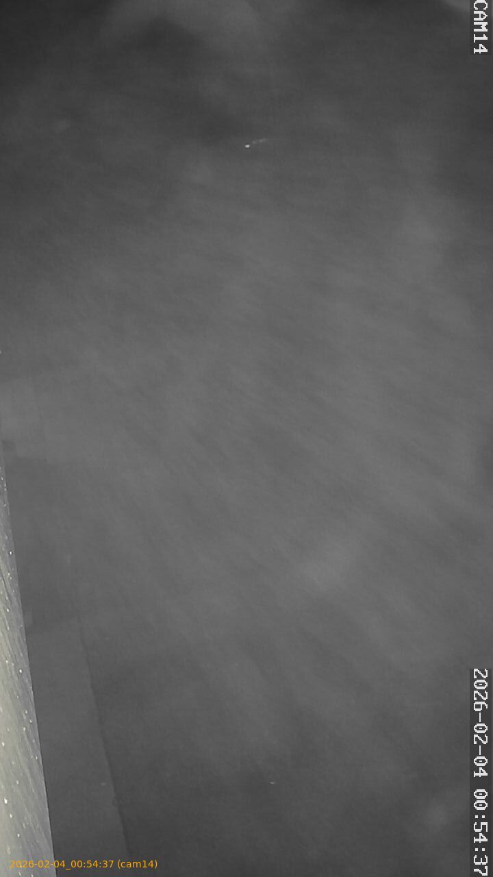 thumbnail_20260204005437