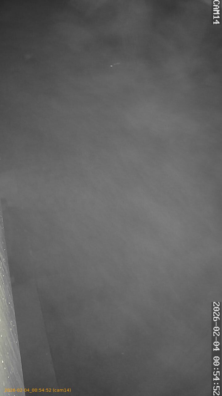 thumbnail_20260204005452