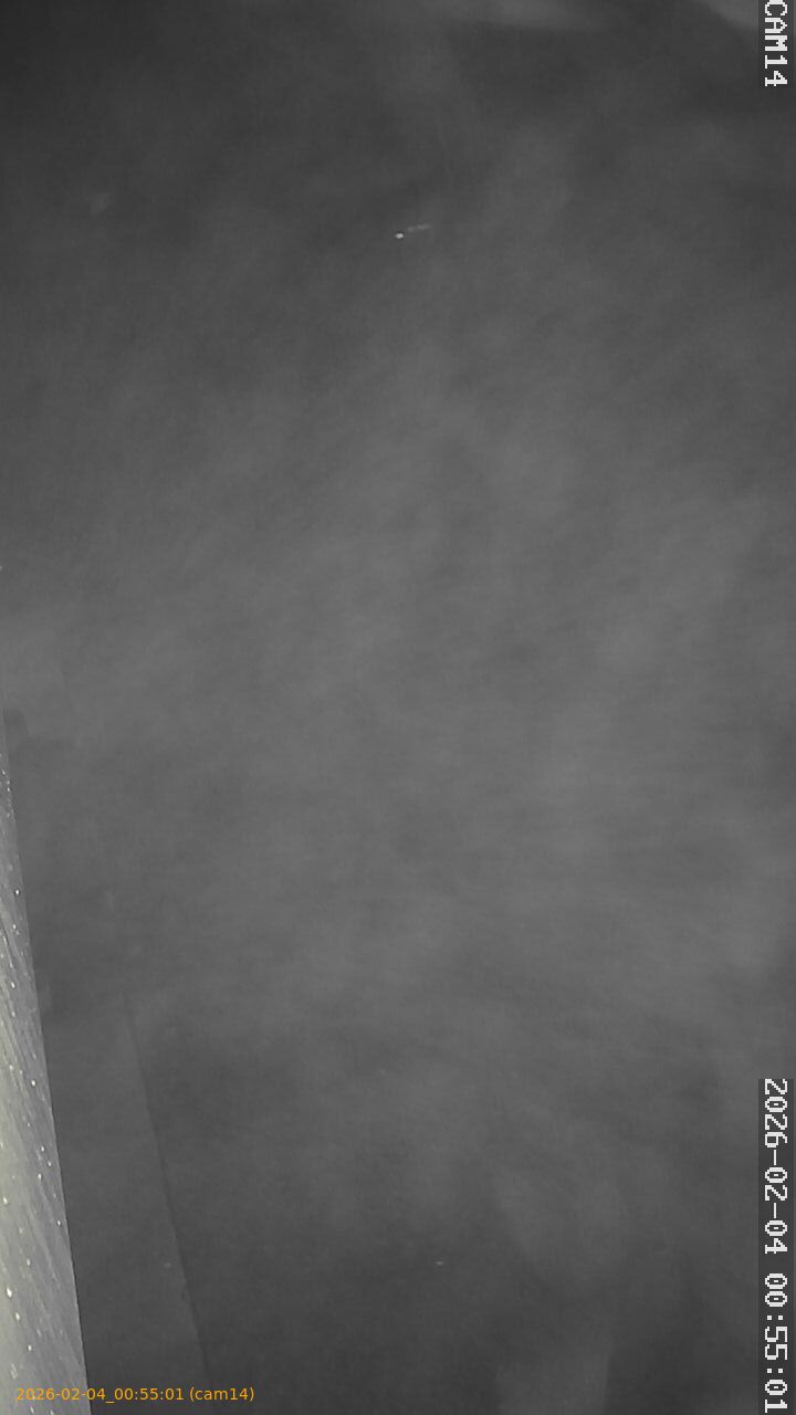 thumbnail_20260204005501