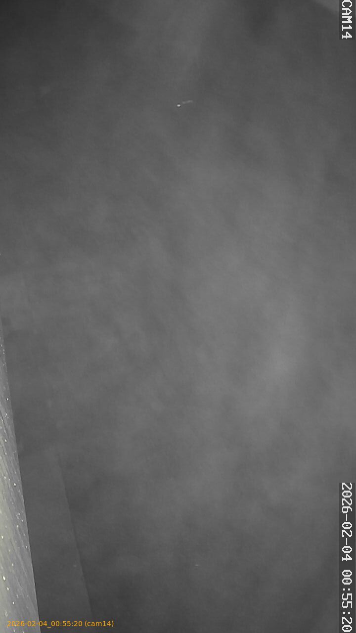 thumbnail_20260204005520