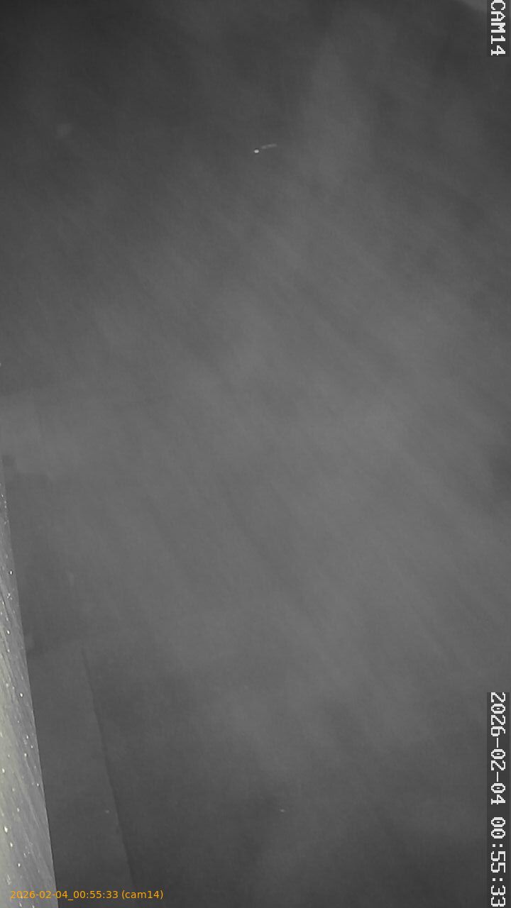 thumbnail_20260204005533