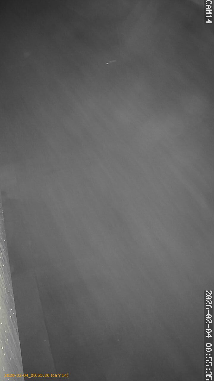 thumbnail_20260204005535