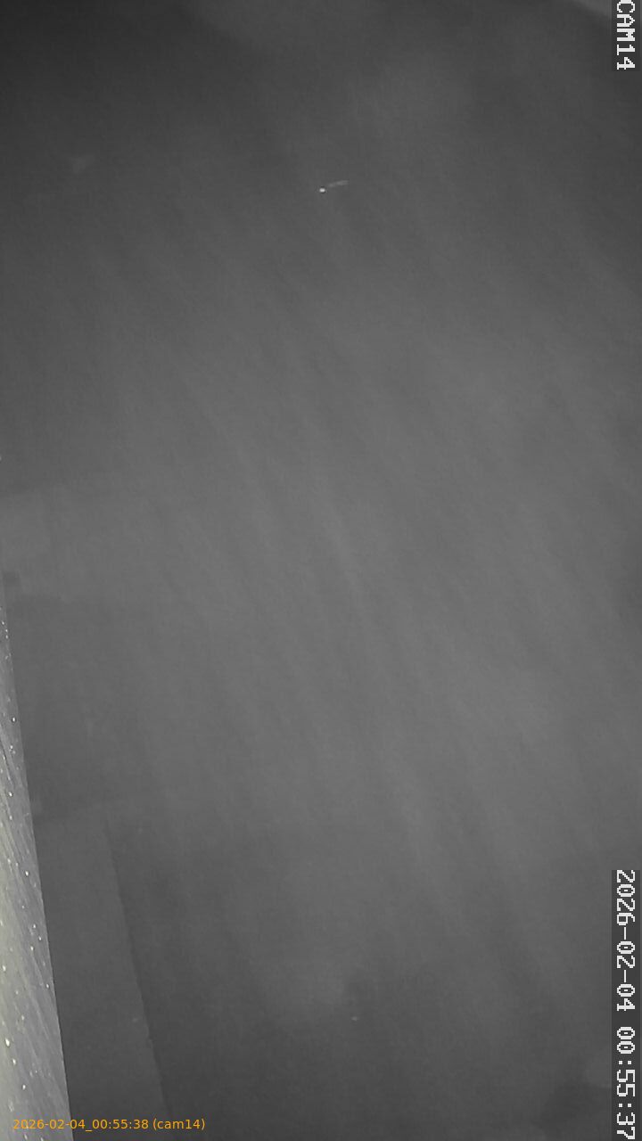 thumbnail_20260204005537