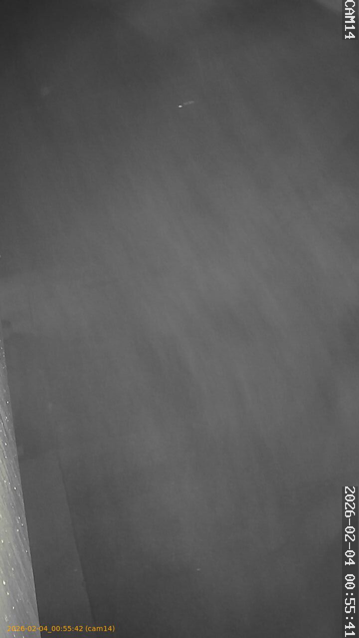 thumbnail_20260204005541