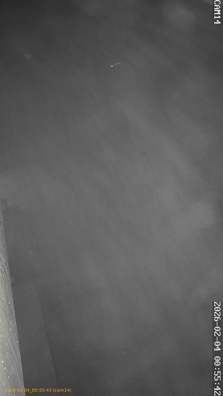 thumbnail_20260204005543