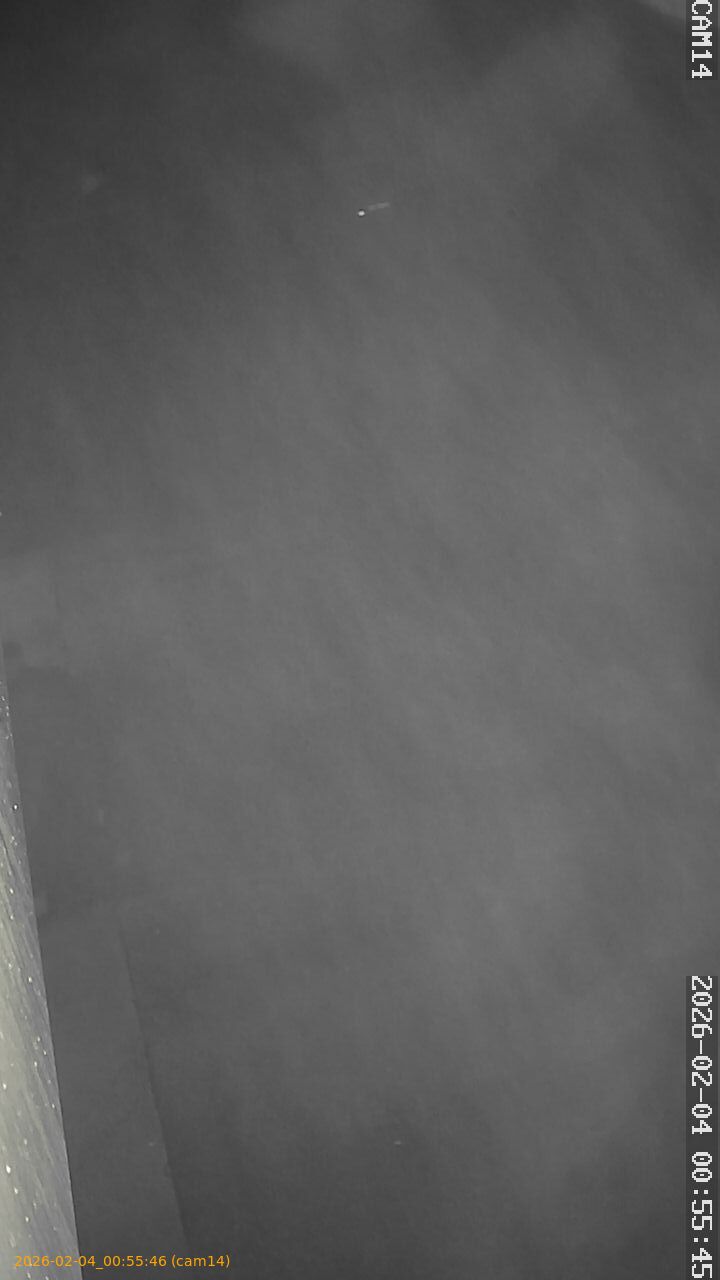 thumbnail_20260204005546