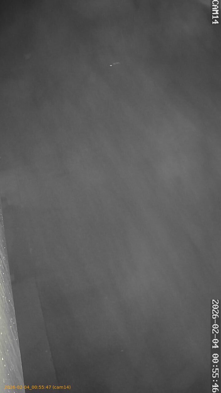 thumbnail_20260204005547