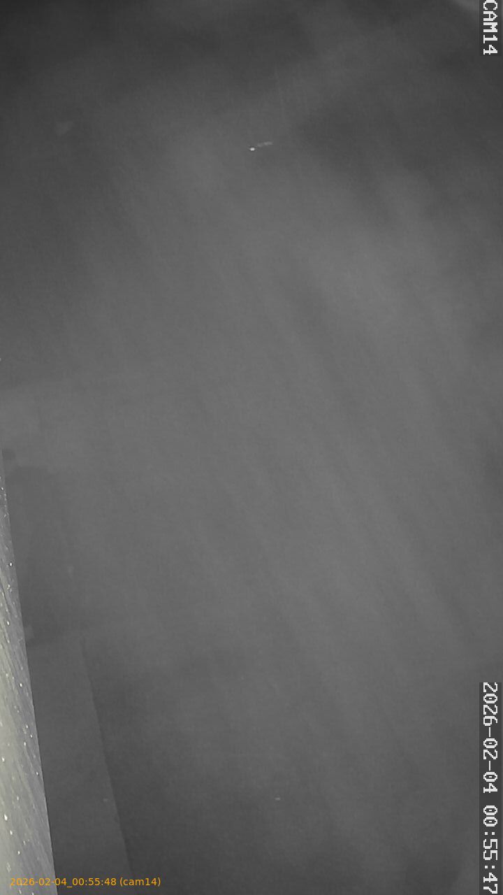 thumbnail_20260204005548