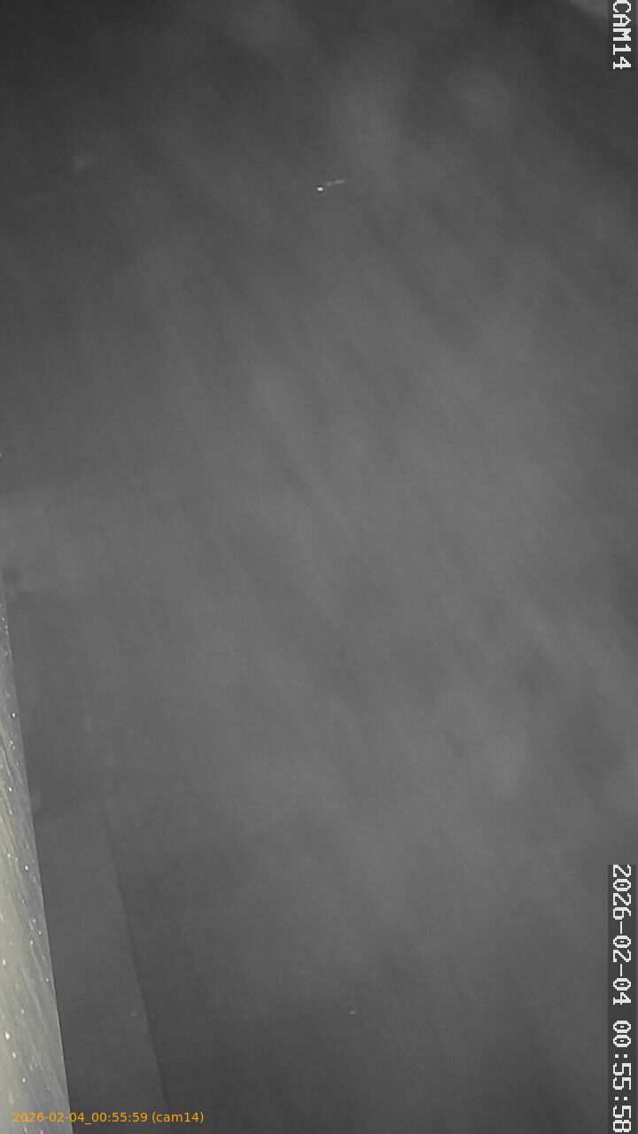 thumbnail_20260204005559