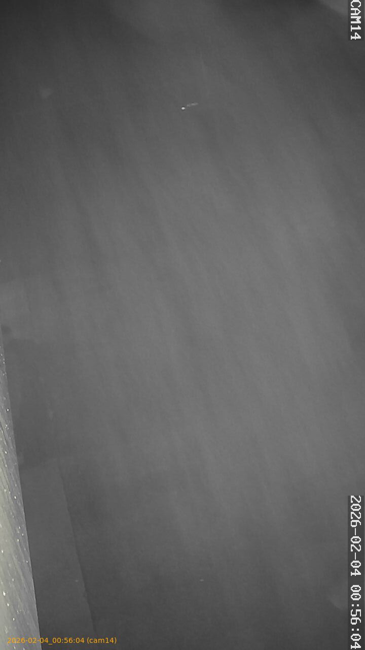 thumbnail_20260204005604