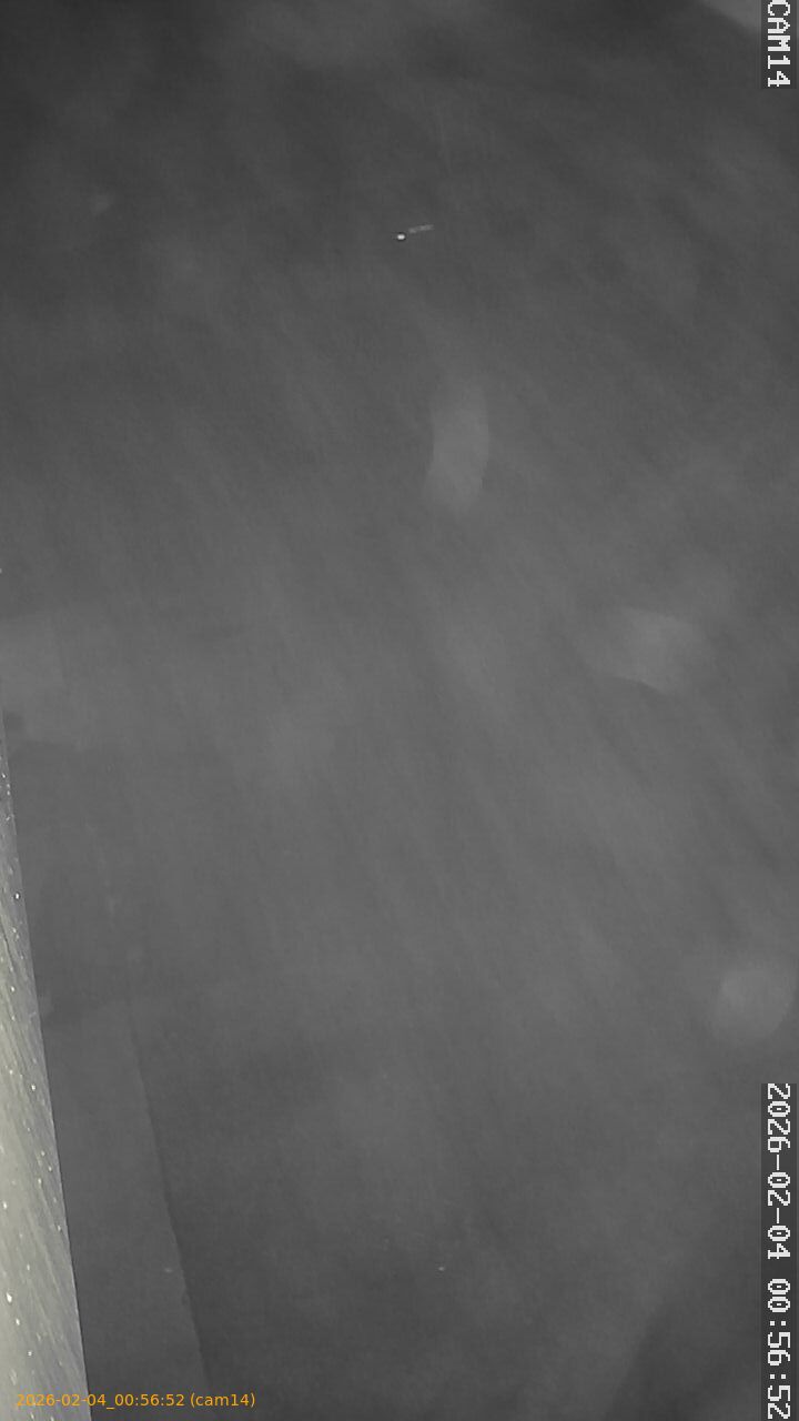 thumbnail_20260204005652