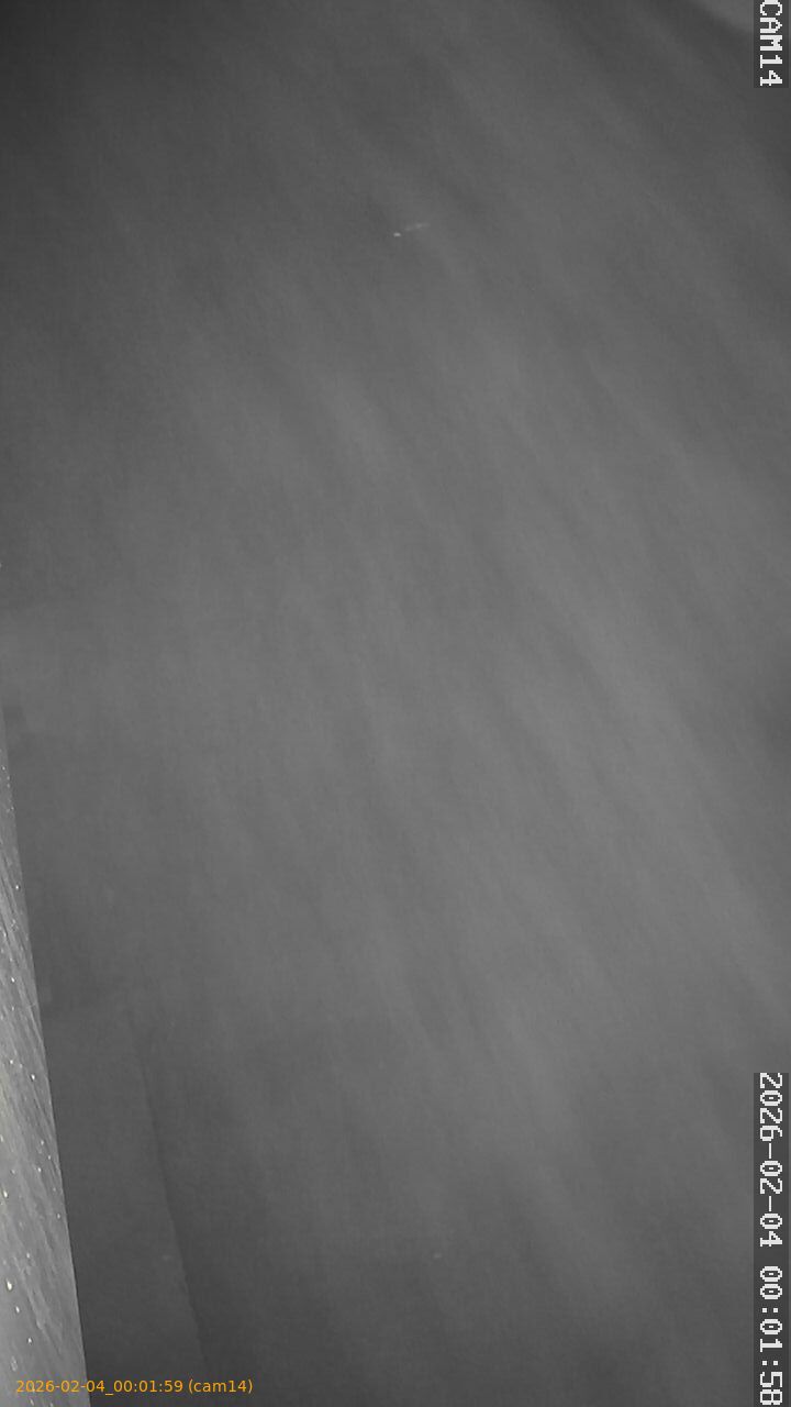 thumbnail_202602040001