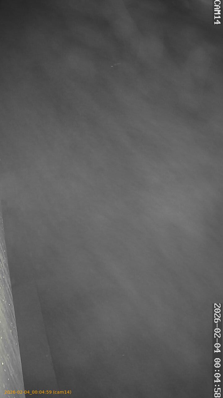 thumbnail_202602040004