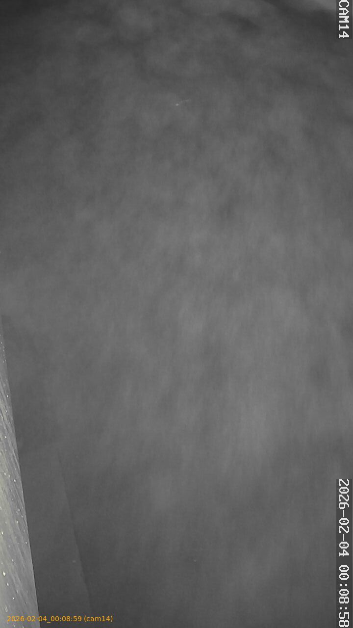 thumbnail_202602040008