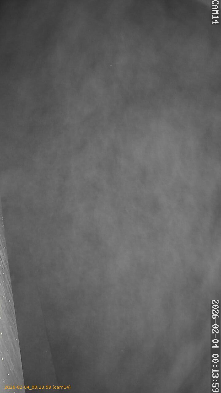 thumbnail_202602040013