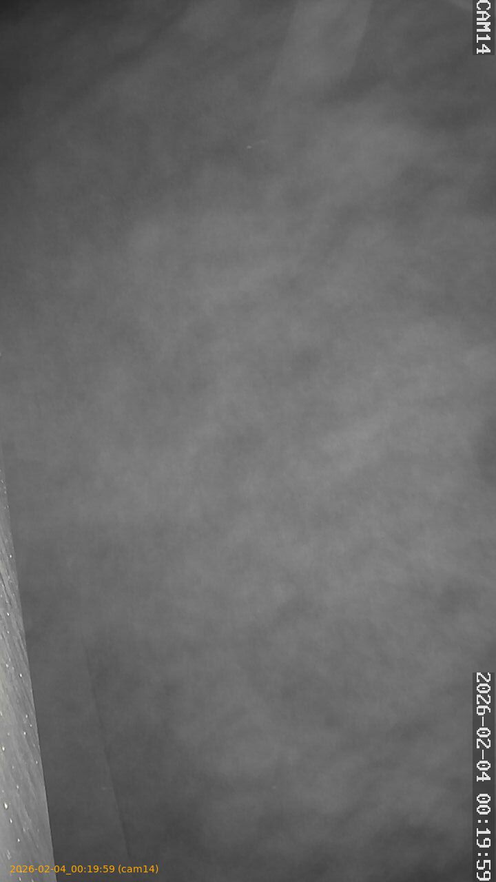 thumbnail_202602040019