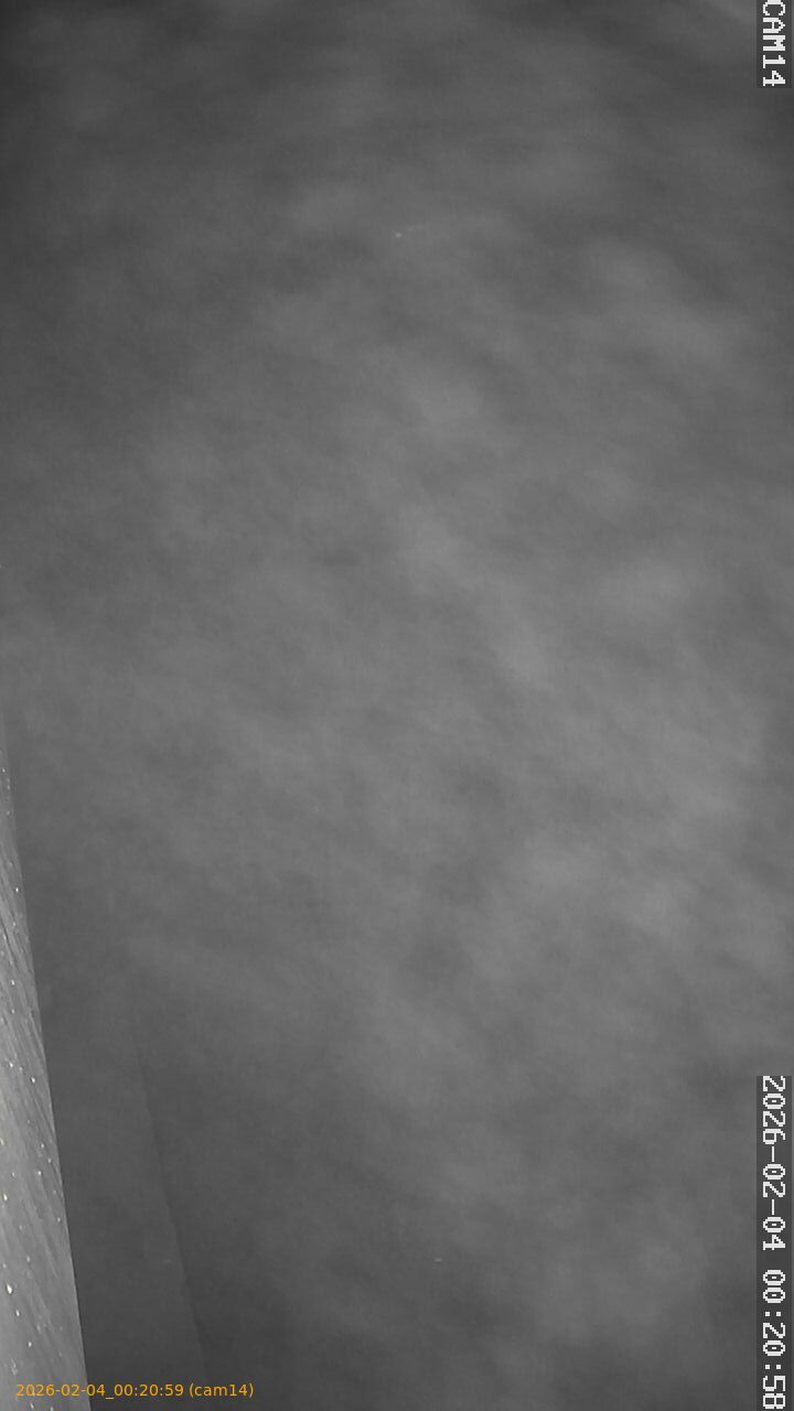 thumbnail_202602040020