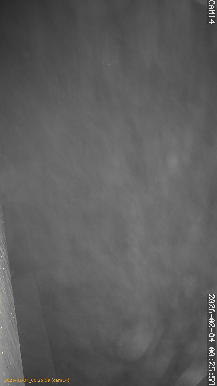 thumbnail_202602040025