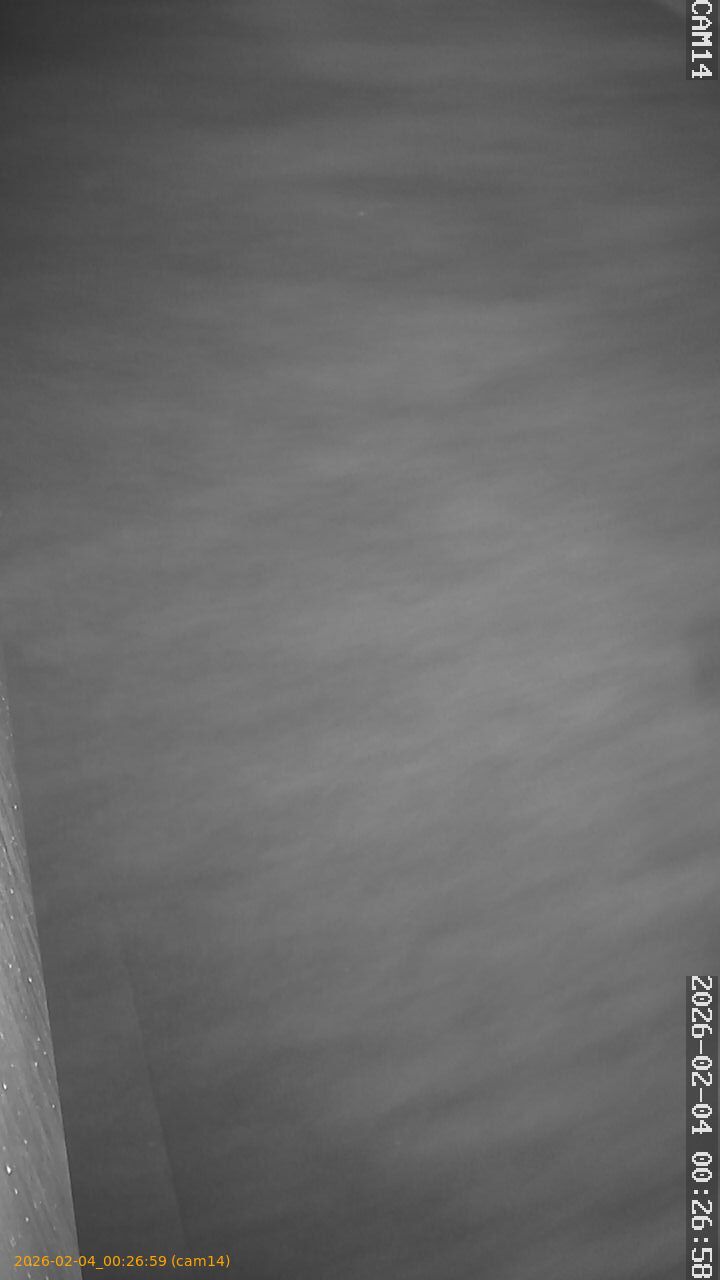 thumbnail_202602040026